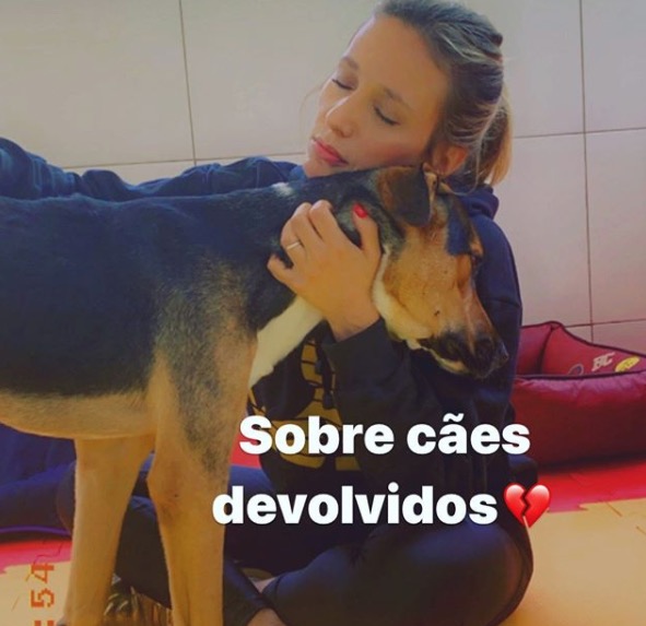 Luisa Mell critica Claudia Ohana por devolver cachorros adotados: ‘tenha responsabilidade’