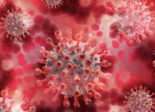 Brasil registra 632 óbitos e mais de 20 mil casos de covid-19 em 24h