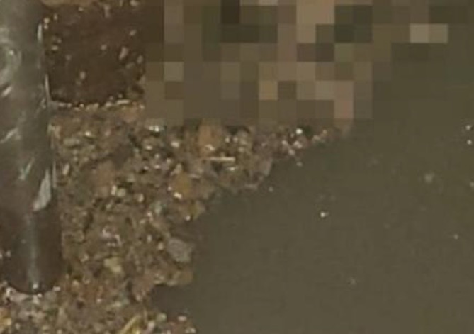 Mãe que jogou recém-nascido em esgoto é presa e conta detalhes do crime 