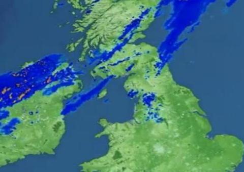Nuvem de formigas voadoras é registrada na Irlanda e Reino Unido 