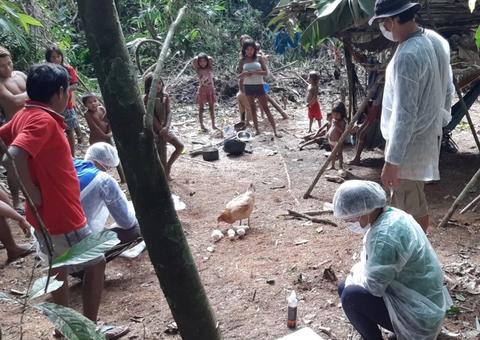 Justiça multa em R$ 100 mil Caixa, União e INSS por não protegerem indígenas no Amazonas