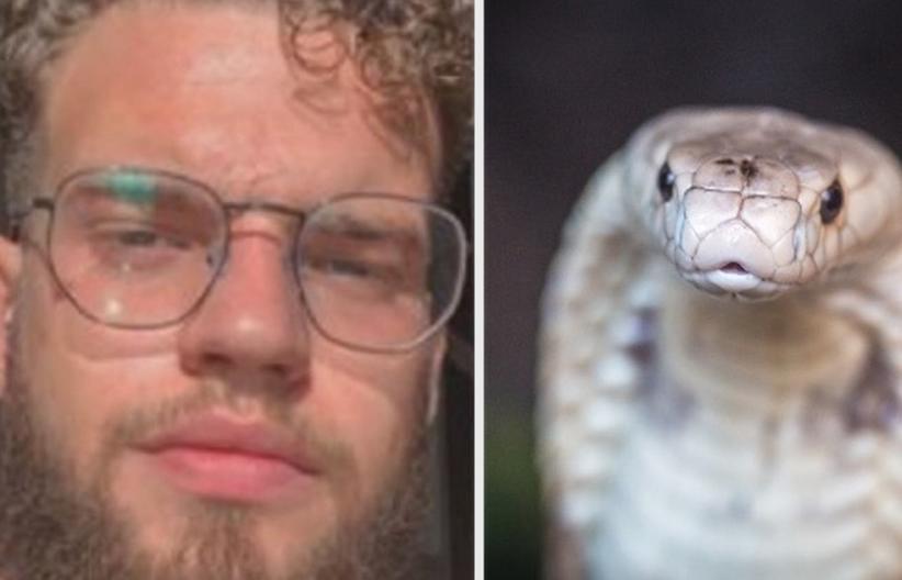 Picado por naja, estudante de veterinária pode ter que reembolsar zoológico