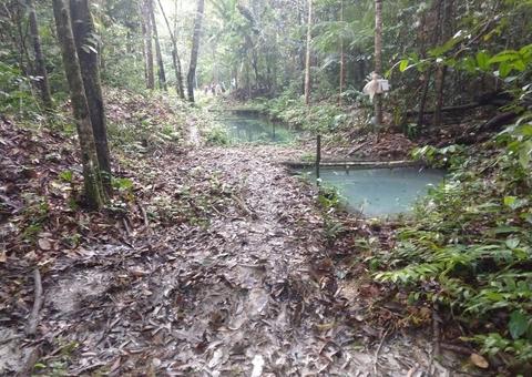 Jovem morre afogado durante passeio de igreja em sítio no Amazonas