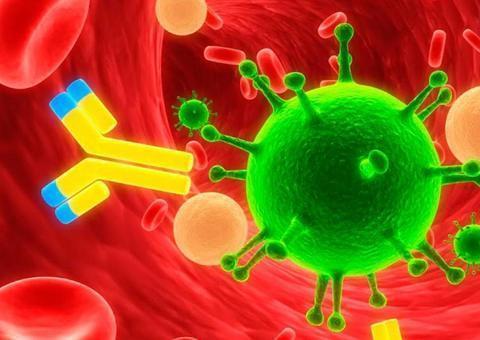 Cientistas comemoram descoberta de mais de 60 anticorpos que bloqueiam coronavírus