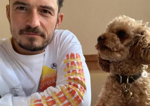 Cachorrinho desaparecido de Orlando Bloom é encontrado morto