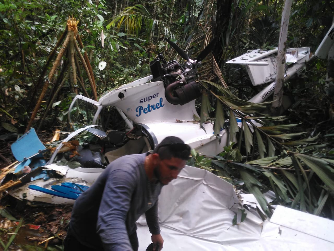 Avião cai em área de mata no Amazonas