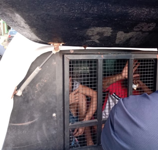 Sobreviventes são presos após PM encontrar veículos roubados em casa invadida por pistoleiros