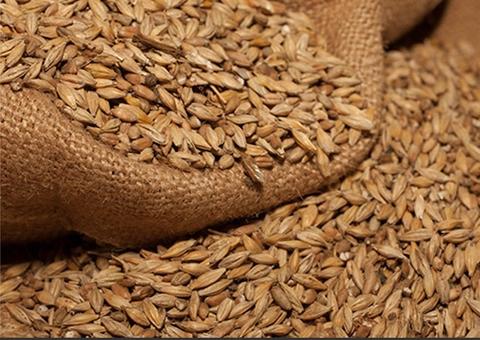 Cervejaria artesanal sofre processo de interdição pela Visa Manaus