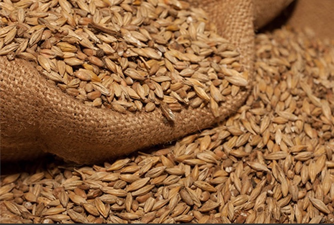 Cervejaria artesanal sofre processo de interdição pela Visa Manaus