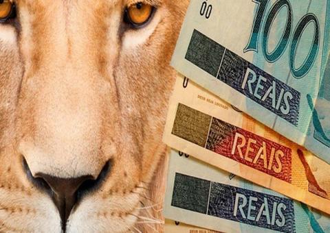 Restituição do IRPF 2020 contempla 45,5 mil contribuintes no Amazonas