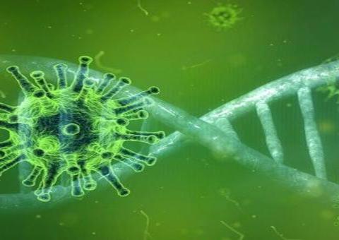 Pesquisadores descobrem que coronavírus usa enzima para driblar anticorpos