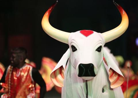 Em Parintins, parte do curral do boi Garantido é arrematado em leilão