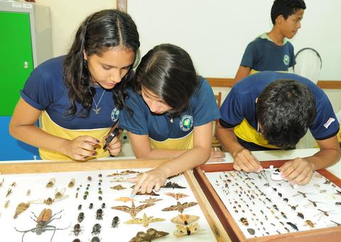 Mapas temáticos revelam dados e informações sobre Amazonas