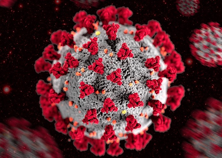 Amazonas tem mais 1.205 casos de Covid-19 e supera marca de 80 mil recuperados