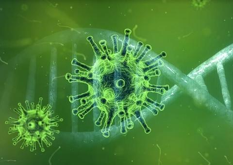 Com 1.178 novas mortes por Covid-19, Brasil ultrapassa 85 mil óbitos