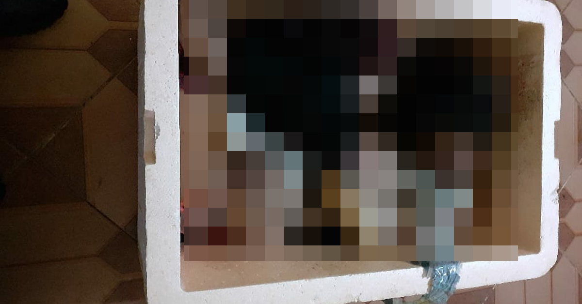 Após esquartejar e abandonar mulher em caixa de isopor, trio morre em tiroteio no Amazonas