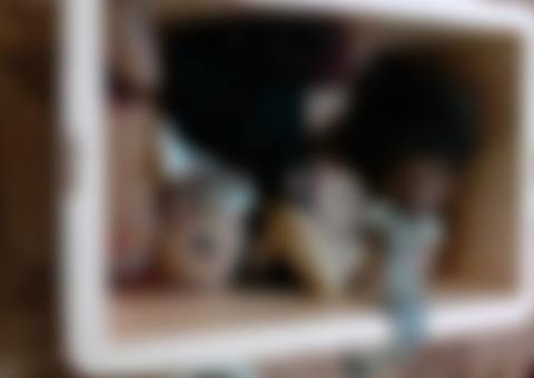 Esquartejada achada em isopor foi morta por motivo banal no Amazonas