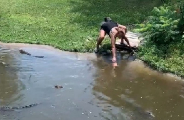 Cenas perturbadoras mostram mãe entrando em jaula de jacarés com criança