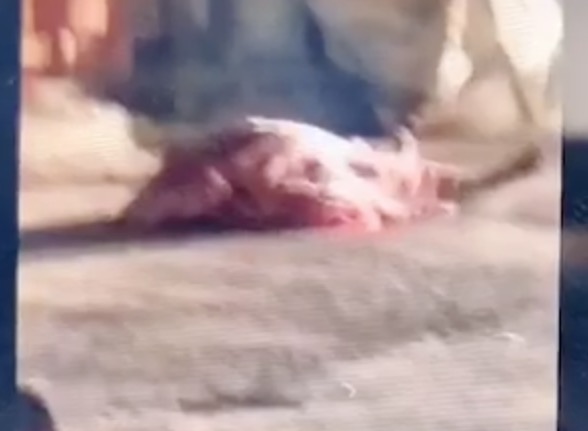 Dupla suspeita de integrar facção criminosa é assassinada por pistoleiros em Manaus 