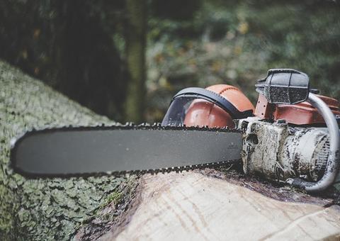 Desmatamento da Amazônia cresce 28% em um ano, diz nota de servidores do Ibama