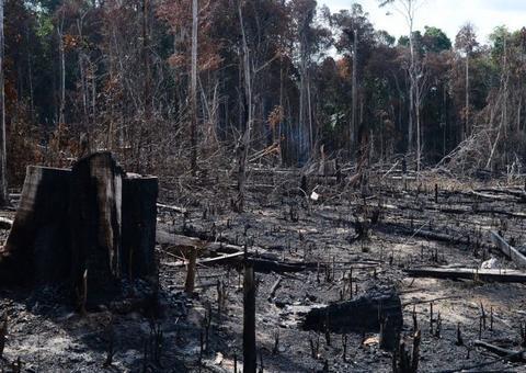 Em carta, mais de 600 servidores do Ibama pedem controle do desmatamento na Amazônia