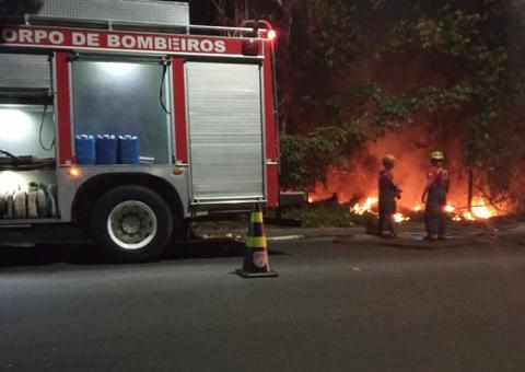 Incêndio atinge área de mata na avenida do Turismo em Manaus