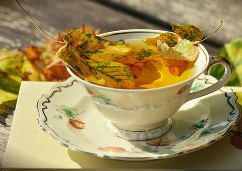 Compostos presentes em chás amenizam os sintomas de gripes e resfriados