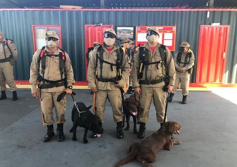Operação 'Céu Limpo’ vai combater queimadas em Manaus