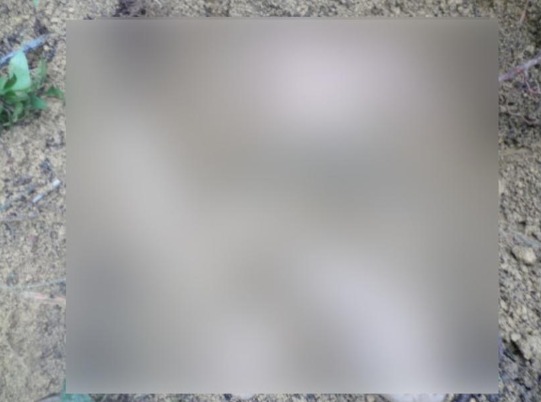 Acusado de estrangular esposa grávida até a morte é preso em Manaus