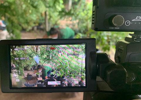 Videoaula ensina a plantar frutíferas em vaso nesta sexta-feira, confira