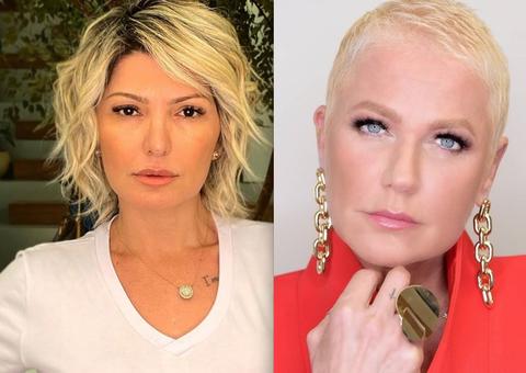 Xuxa defende Felipe Neto e é atacada por Antonia Fontenelle 