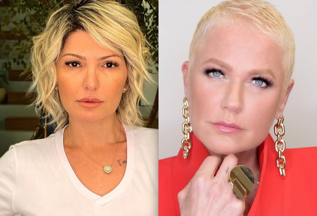 Xuxa defende Felipe Neto e é atacada por Antonia Fontenelle 