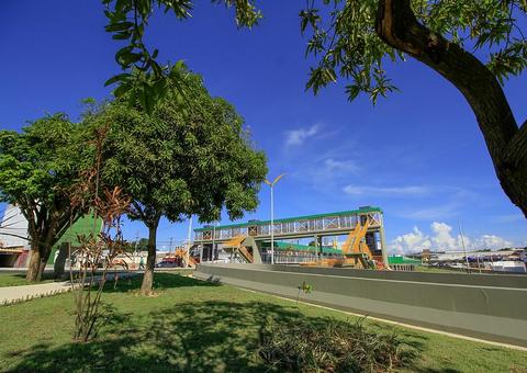 Serviço de paisagismo inicia pelas principais avenidas de Manaus