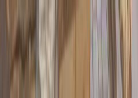 Batalhão Ambiental apreende carvão ilegal na AM-010