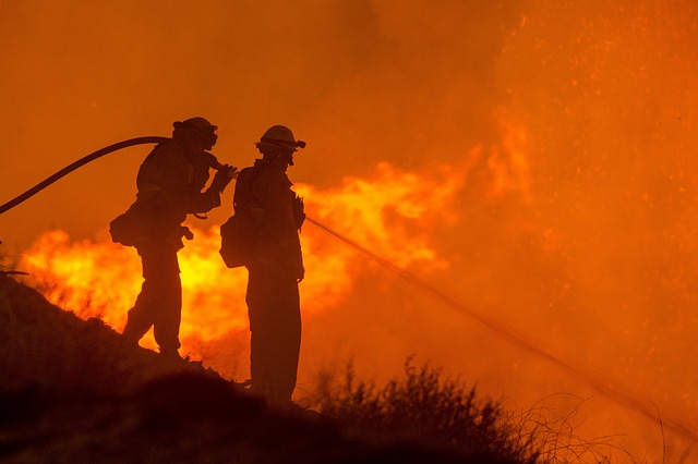 Incêndio destrói mais de 60 mil hectares no Pantanal de Mato Grosso