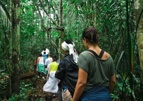Inscrições para curso de imersão na floresta estão abertas no Amazonas