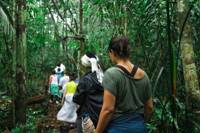 Inscrições para curso de imersão na floresta estão abertas no Amazonas