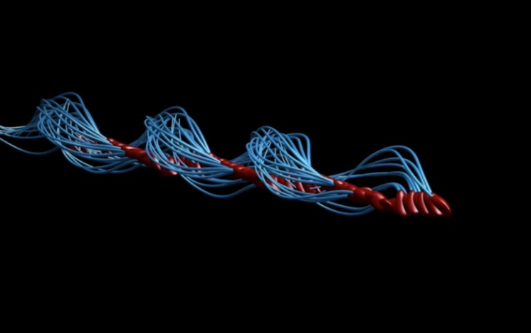 Microscópio faz descoberta inusitada sobre espermatozóides