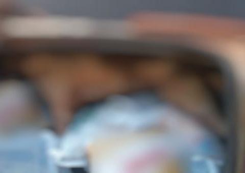 Cachorro morre trancado em porta-malas de carro após ser esquecido pelo dono 