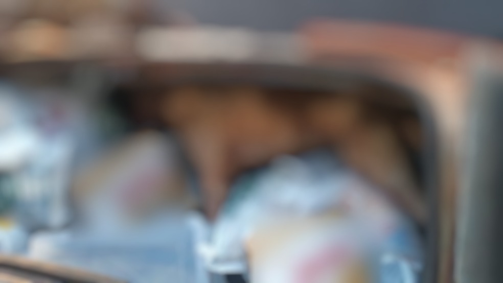 Cachorro morre trancado em porta-malas de carro após ser esquecido pelo dono 