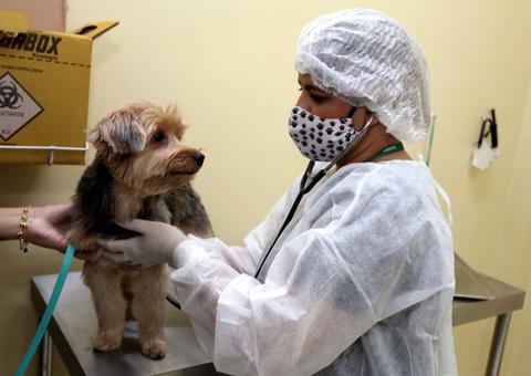 Centro de Zoonoses de Manaus vai abrir mais de 300 vagas para castração