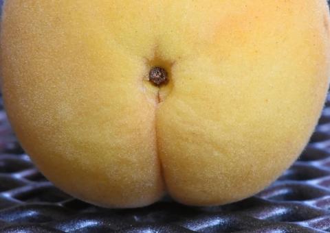 Bumbum feliz: Dicas reais para se livrar da dor no sexo anal