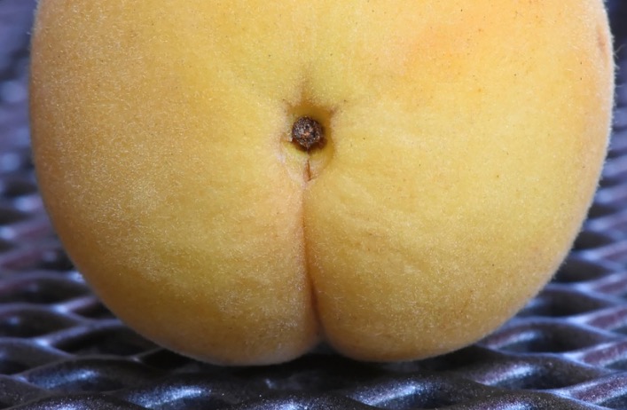 Bumbum feliz: Dicas reais para se livrar da dor no sexo anal