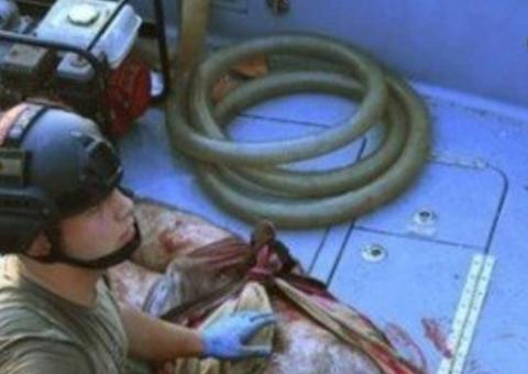 À deriva no mar, funcionário do porto de Beirute é encontrado 30h após explosão