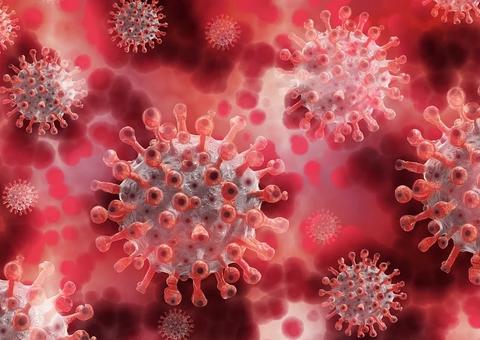 Covid-19: Brasil tem 98,4 mil mortes e 2,9 milhões de casos