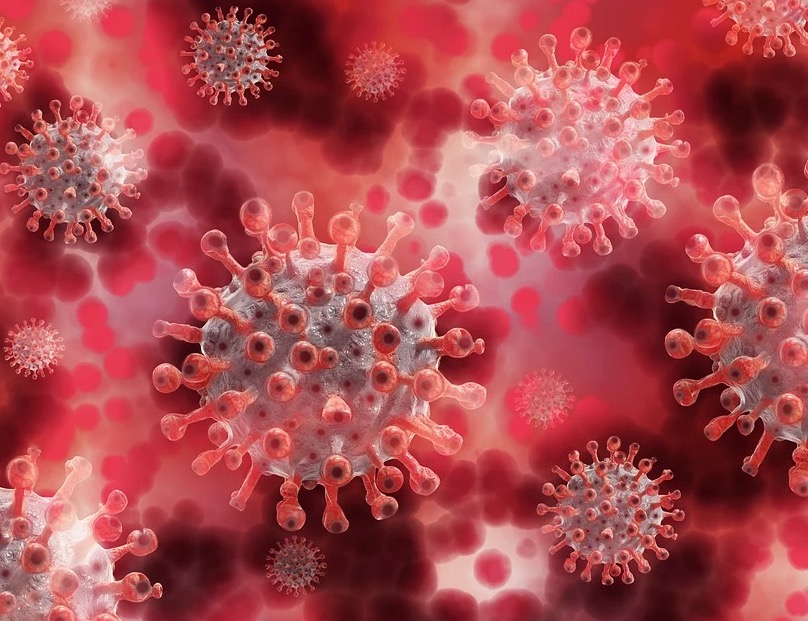 Covid-19: Brasil tem 98,4 mil mortes e 2,9 milhões de casos