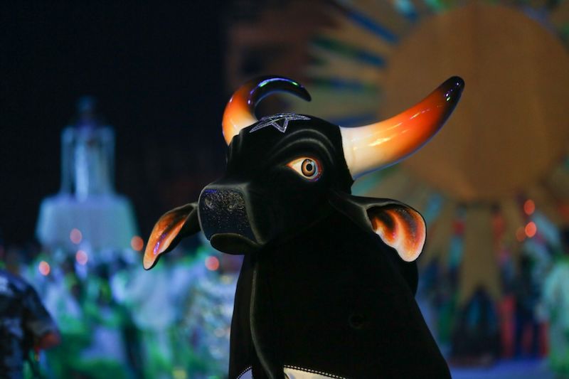 TCE suspende Festival Folclórico de Parintins