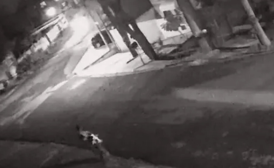 Homem que assou e comeu o próprio cão exige comer gansos na cadeia