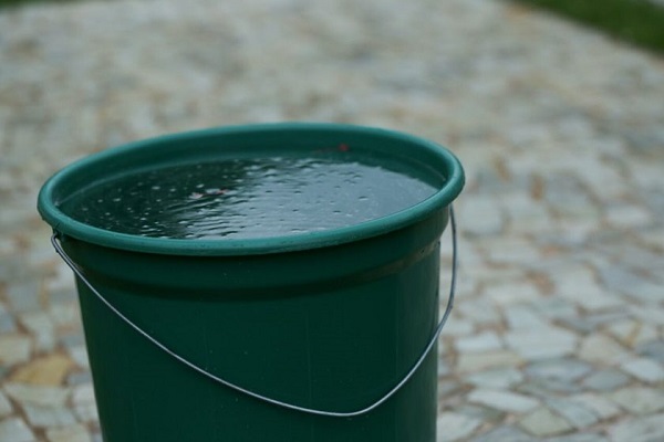 Mulher tenta espancar vizinha que matou cachorro afogado em balde