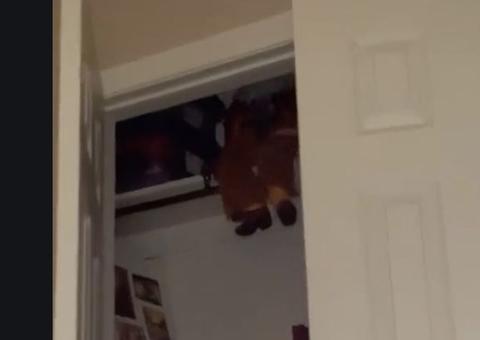 Boneco 'mal-assombrado' choca ao fazer movimento bizarro